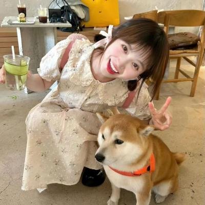 绝对谎言